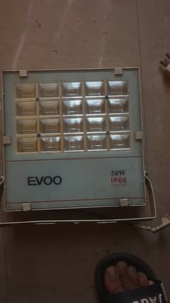 Evoo led light