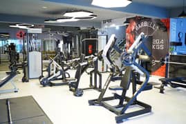 Commercial Gym Setup|Dumbbells|Bench Press|Gym Equipment All Type