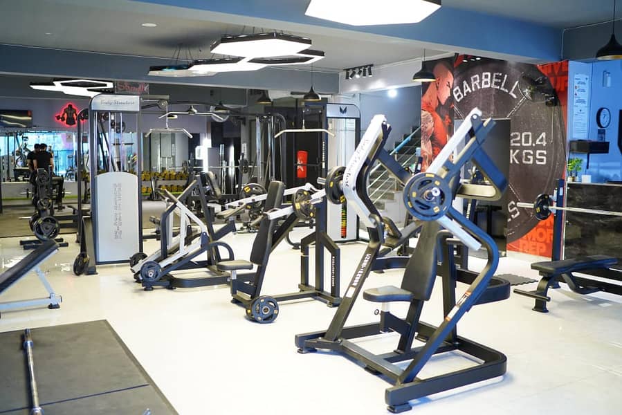 Commercial Gym Setup|Dumbbells|Bench Press|Gym Equipment All Type 0