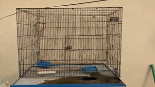 Parrot cage I am selling Parrot cage