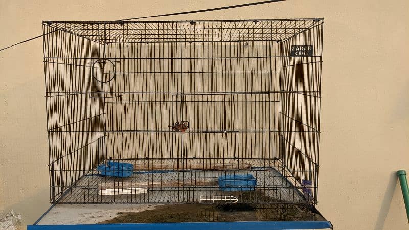 Parrot cage I am selling Parrot cage 0