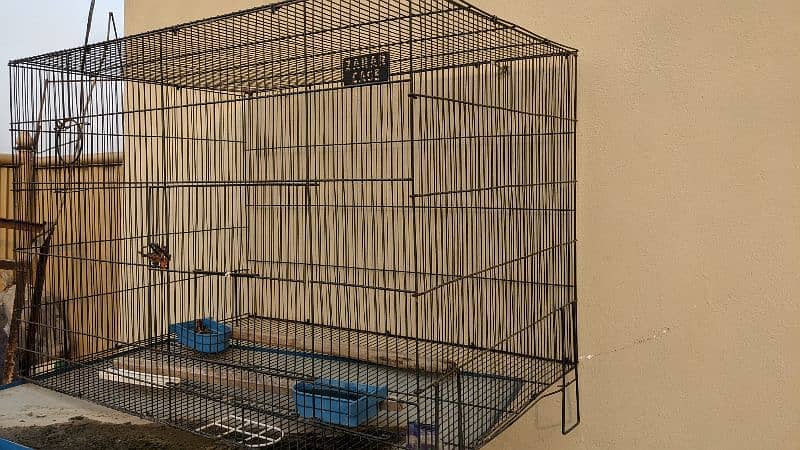 Parrot cage I am selling Parrot cage 1