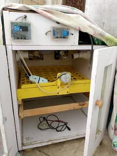 incubator for sale