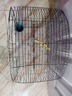 Birds cage for sale