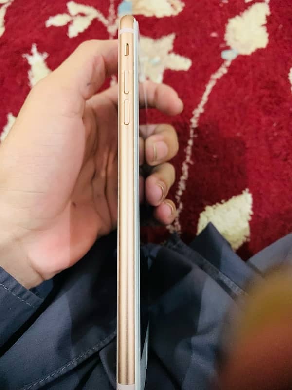 iPhone 8 Plus 64gb non pta Truetone active golden colour 10/10 4