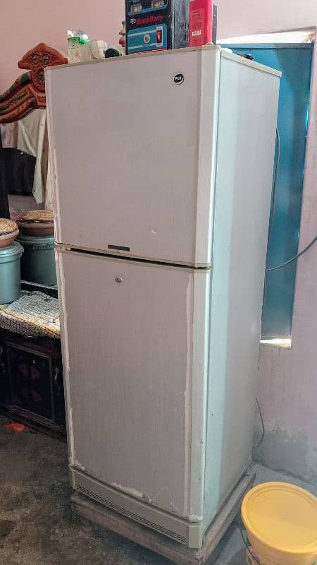 medium size pel fridge 2