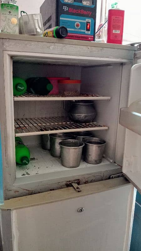 medium size pel fridge 3