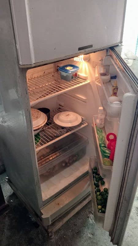 medium size pel fridge 4