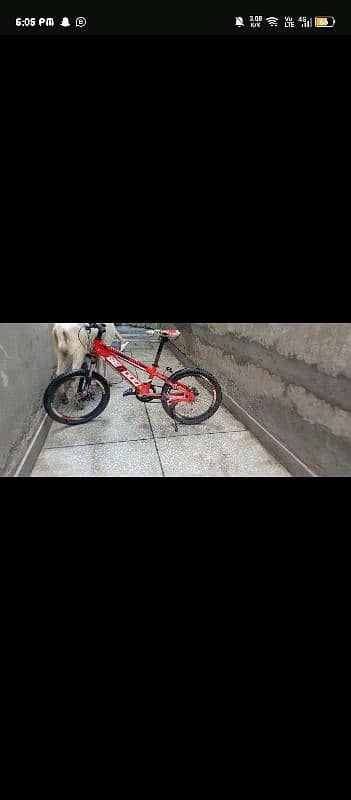 boy bicycles red color 2