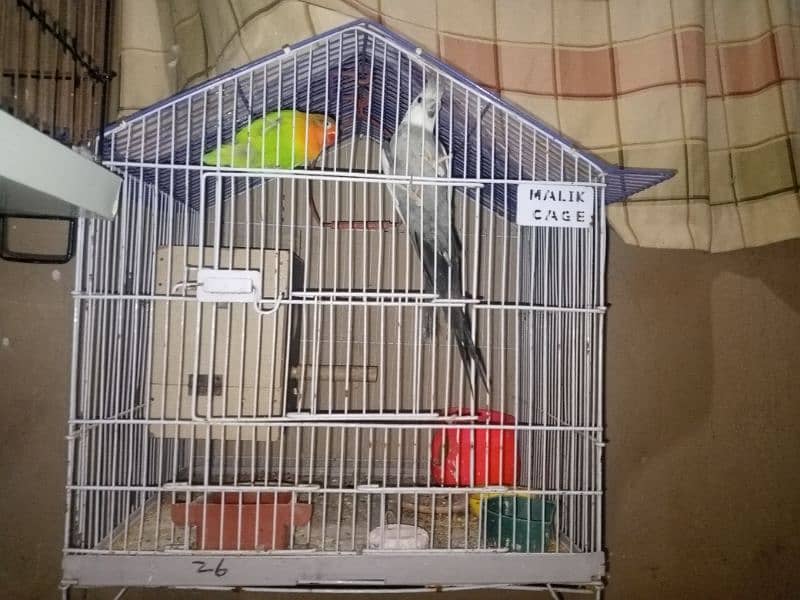 LOVE BIRDS AND COCTAIL WITH CAGE 0