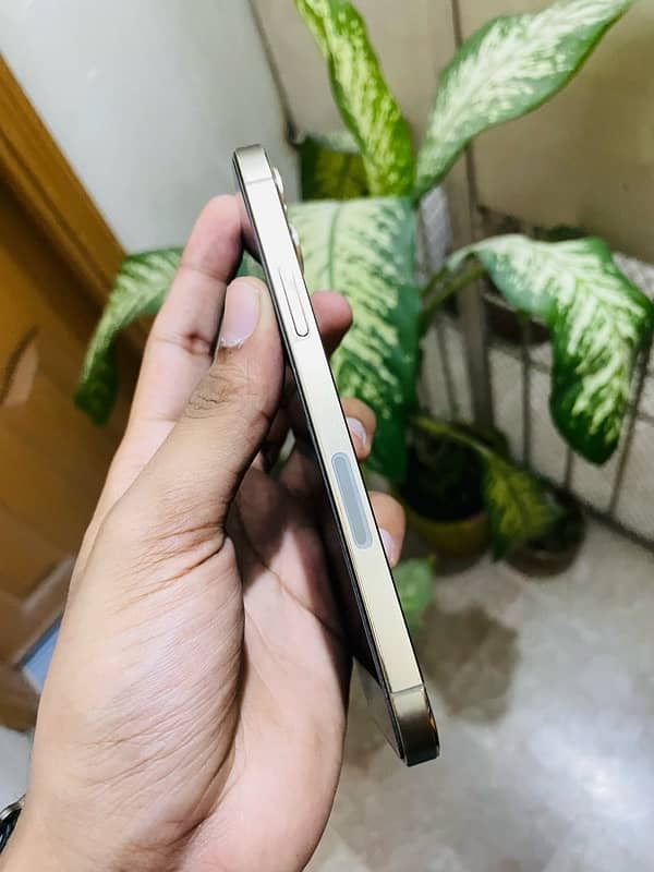 Iphone 12 pro 256GB non pta non active 2