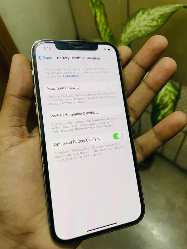 Iphone 12 pro 256GB non pta non active 6