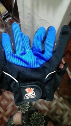 gloves