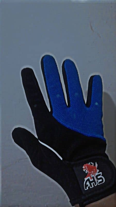 gloves batting 2 pair 1