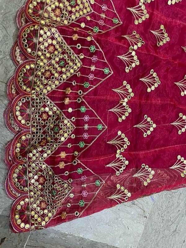 Lehnga choli 1