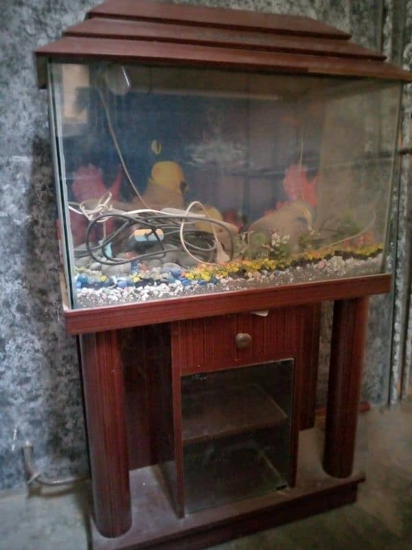 fish aquarium 0