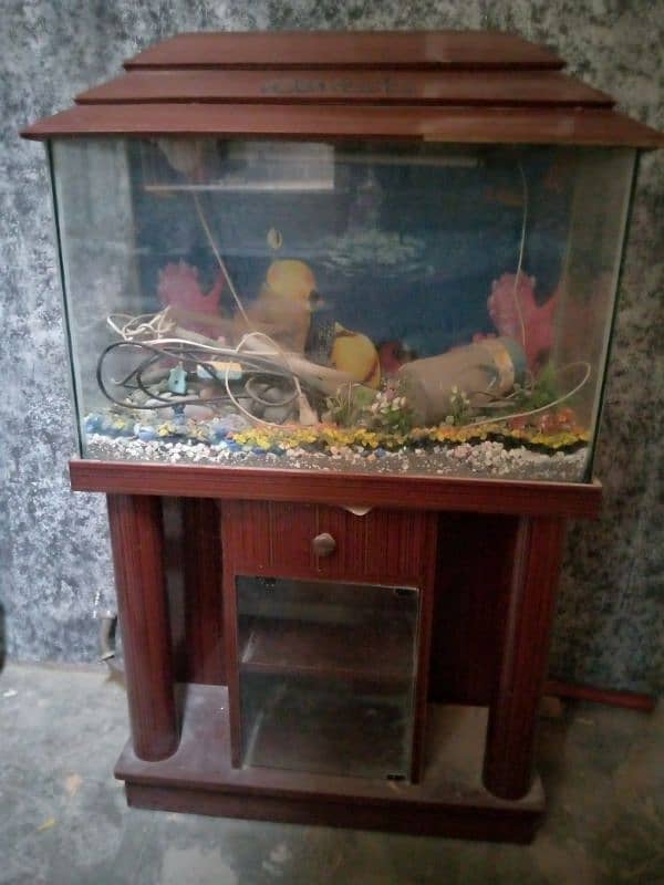 fish aquarium 2