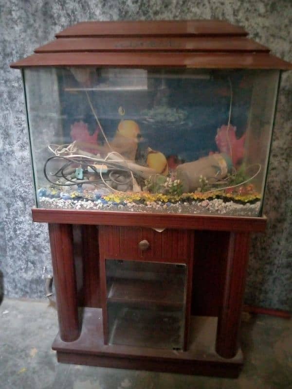 fish aquarium 3