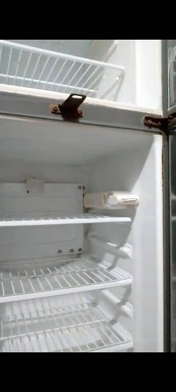 fridge 10