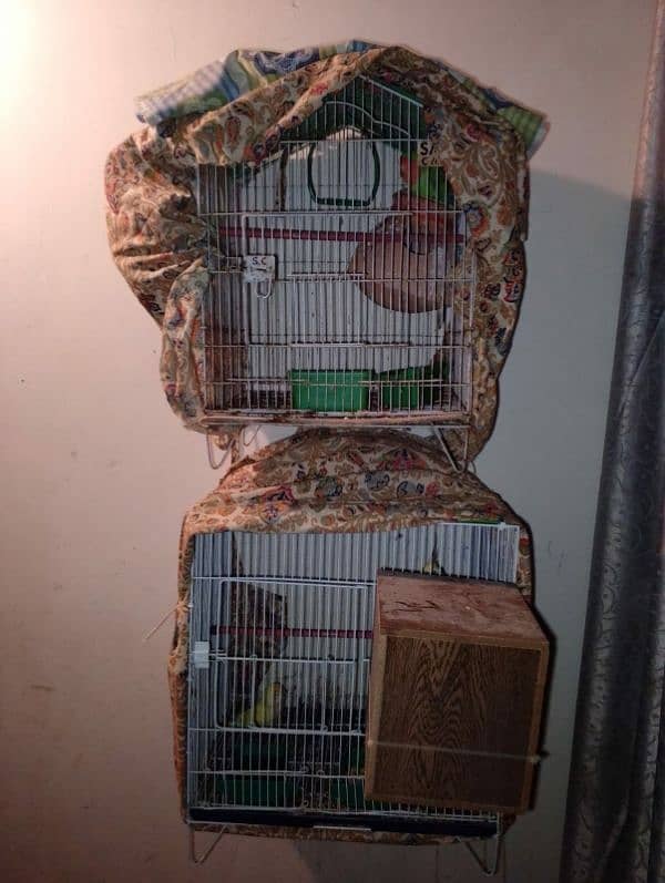 birds setup for sale 3