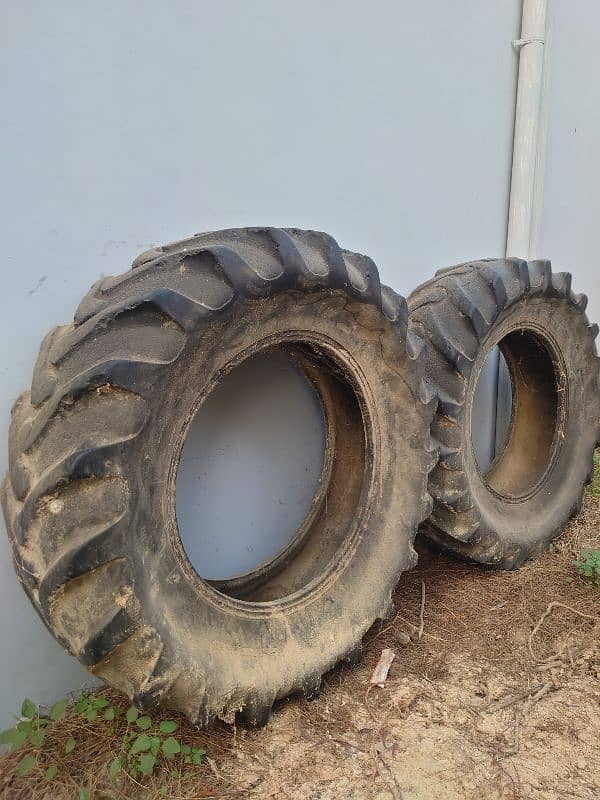 belarus tyres 1