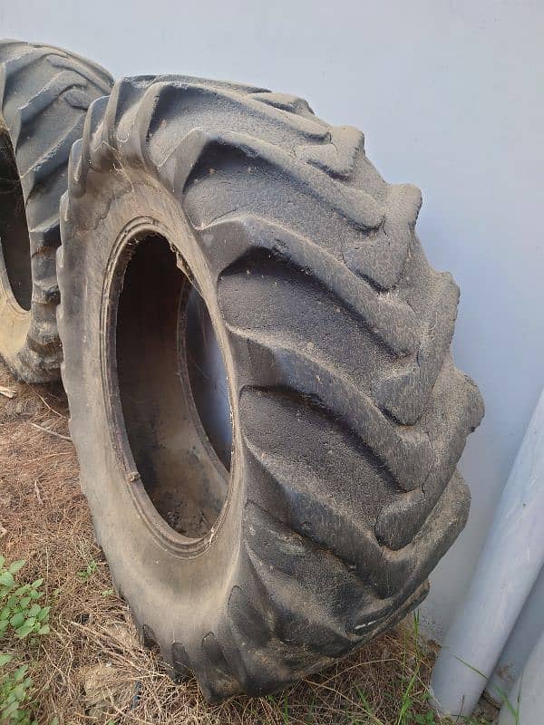 belarus tyres 2