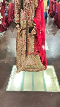 heavy wedding sharara D shape use with cen cen