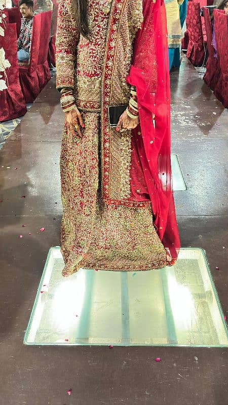 heavy wedding sharara D shape use with cen cen 0