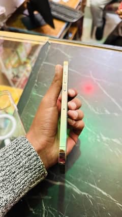 iPhone 12 Pro Max PTA approved