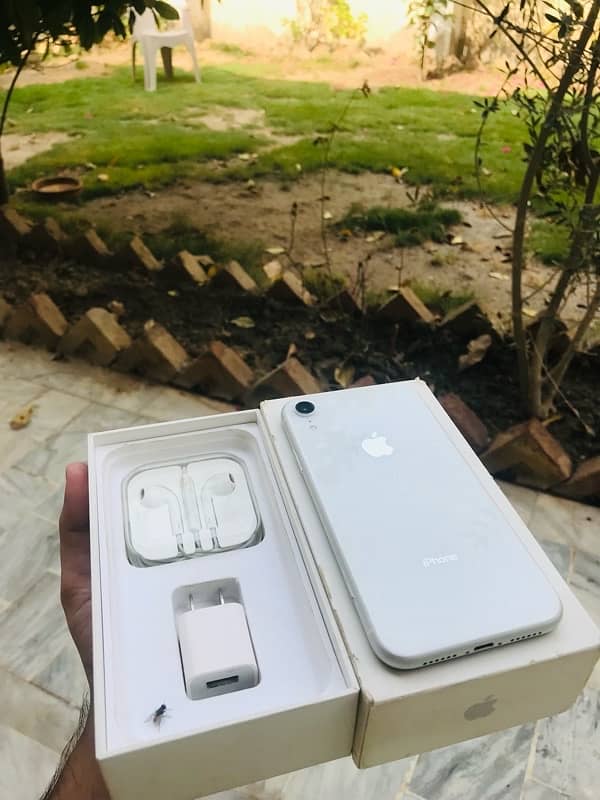 iphone xr dual physical sims pta approve 80 BH 0