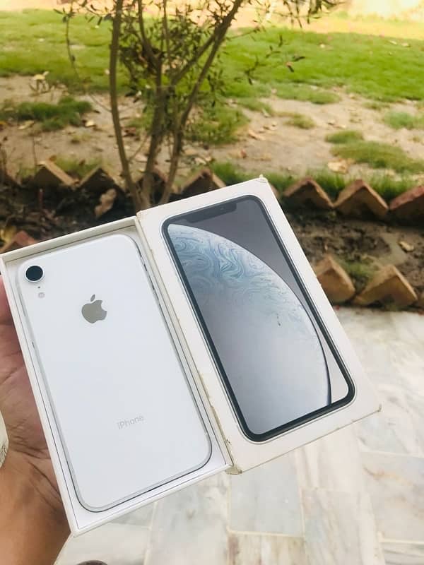 iphone xr dual physical sims pta approve 80 BH 3