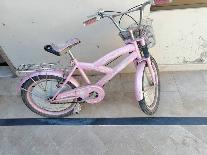 Girls Bicycle for Sale 0