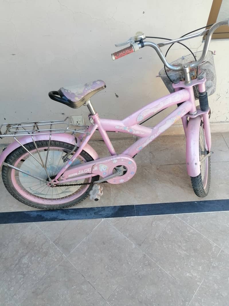 Girls Bicycle for Sale 1