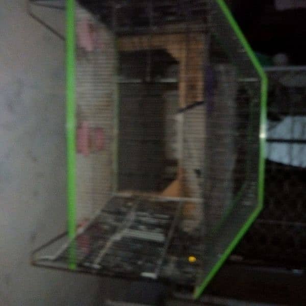 selling 2 cages in only 3k 10