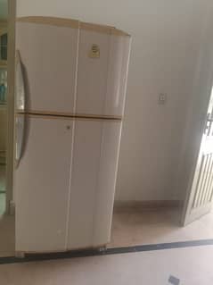 Medium Size Pel Refrigerator For Sell