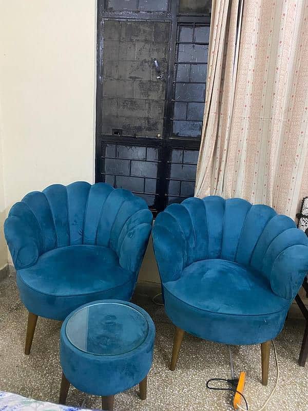 Coffee/ butterfly chairs only month used 2