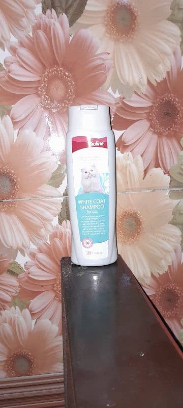 Female cat with kitten ,with  accessories,bioline cat shampoo,food etc 5