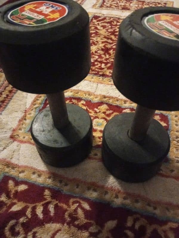 pair of 5KG dumbbells 2