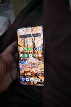 vivo Y100  mobile