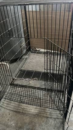 Havy Iron big cage 48 width = 42 lengths = Sides 31 = 2 trays