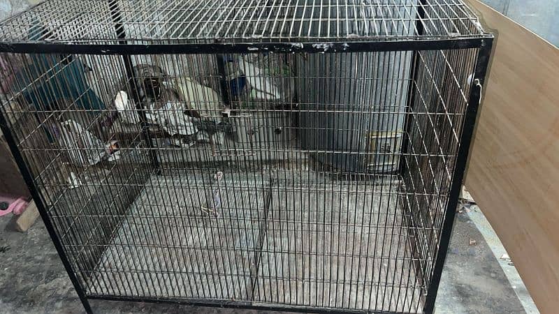 Havy Iron big cage 48 width = 42 lengths = Sides 31 = 2 trays 2