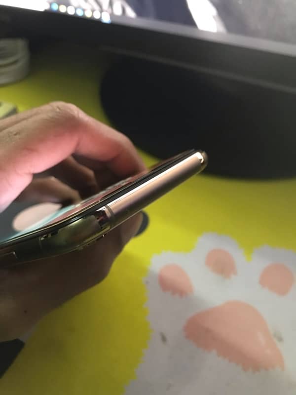 iphone xs Dual PTA 12