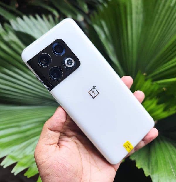 Oneplus 10pro panda white 24/512 4