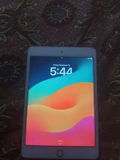 ipad mini 5