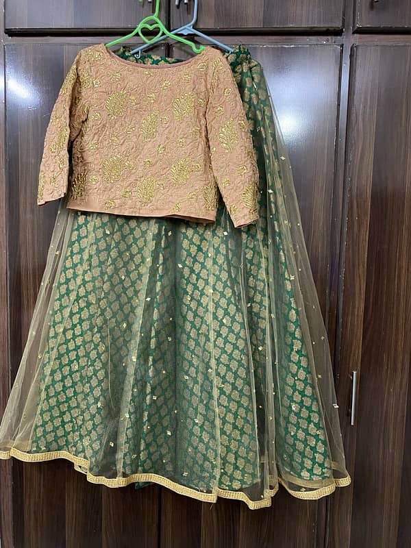 Lehnga Choli 0