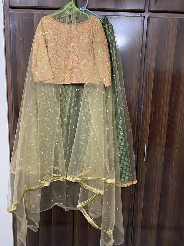 Lehnga Choli 2