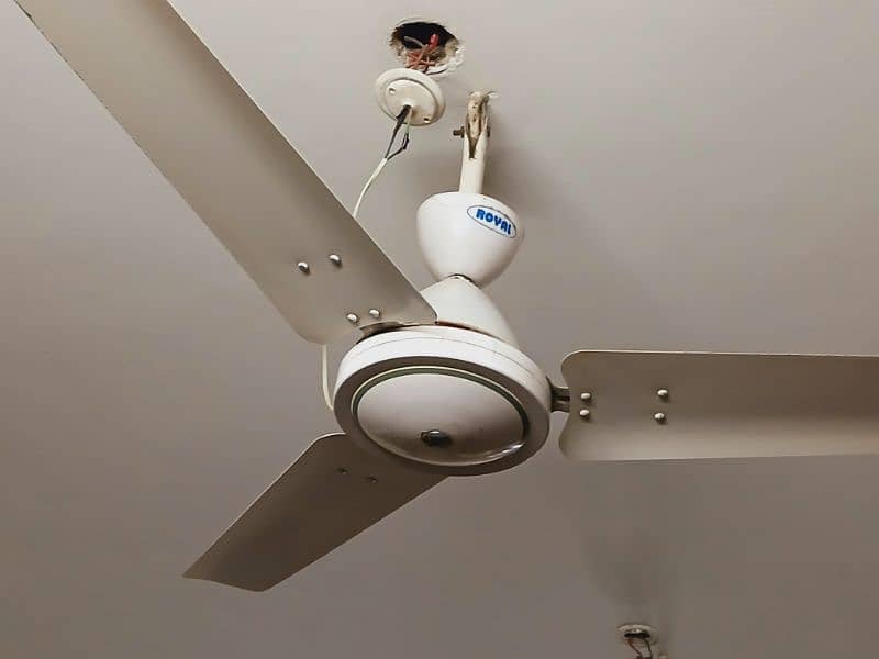 Classic White royal ceiling fan 0