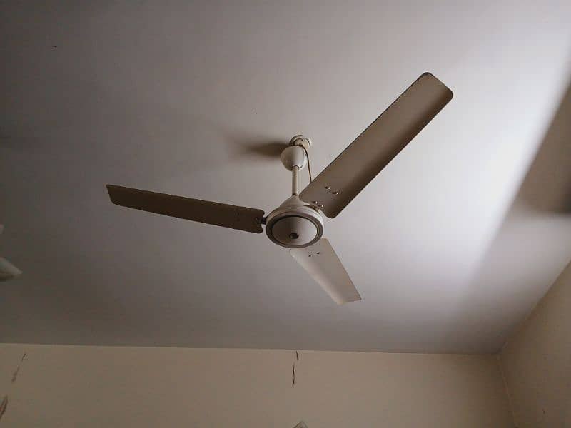 Classic White royal ceiling fan 1