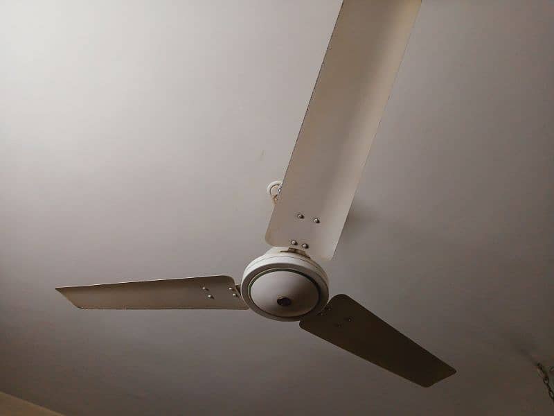 Classic White royal ceiling fan 2