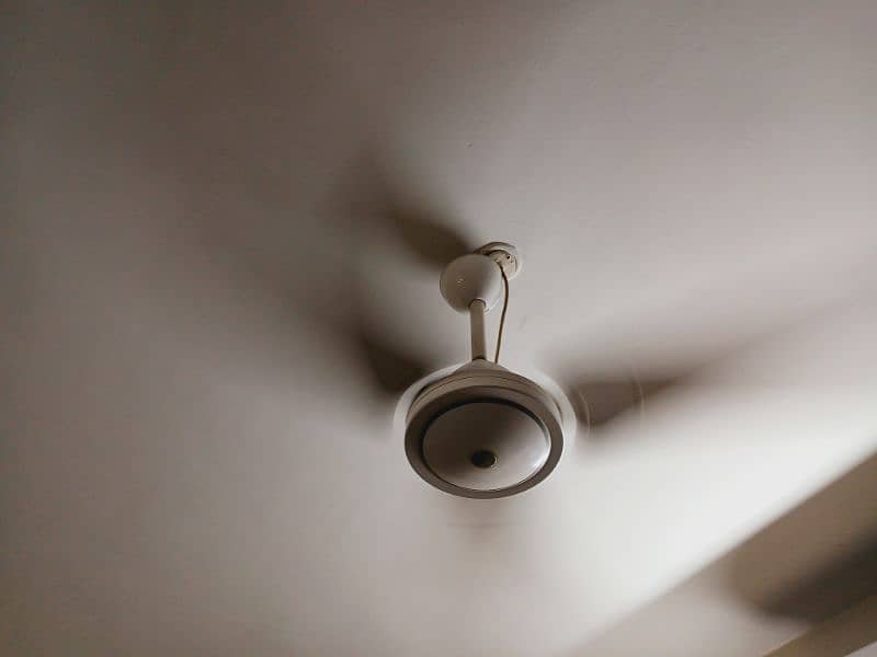 Classic White royal ceiling fan 3